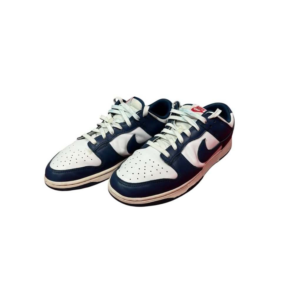 Nike Dunk Low Retro "Valerian Blue"